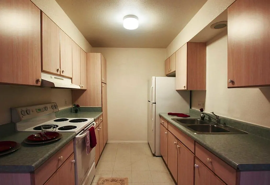 Casa De Roman Apartments — Photo 2