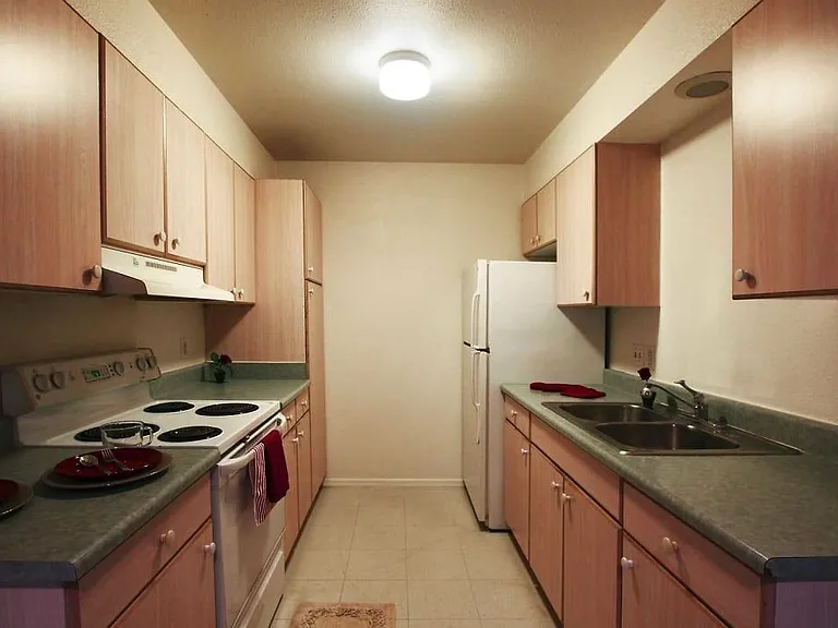 Casa De Roman Apartments — Photo 2