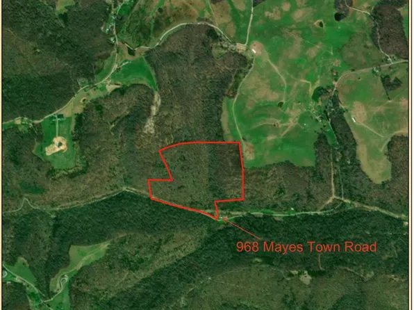 Mayes Town Rd, Speedwell, TN 37870