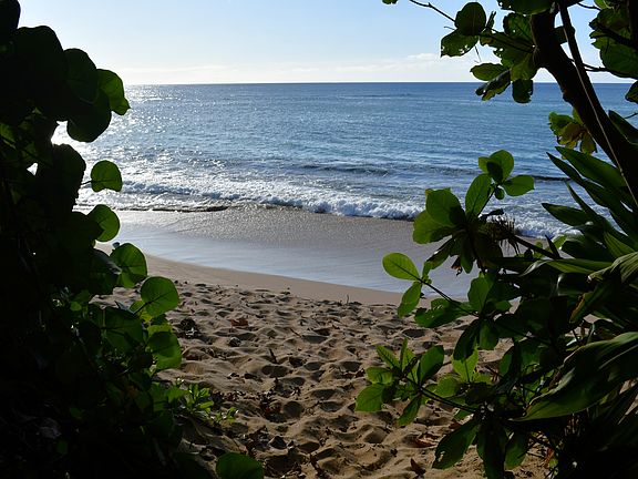 Walk out to this secluded beach. Excellent diving in the Summer & surfing in the Winter. Green sea turtles can be seen year around.