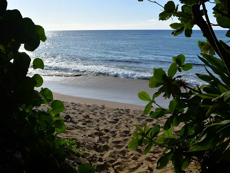 Private gated access to little known Papailoa Beach. Epic surfing in the Winter. Calm diving conditions in the Summer.