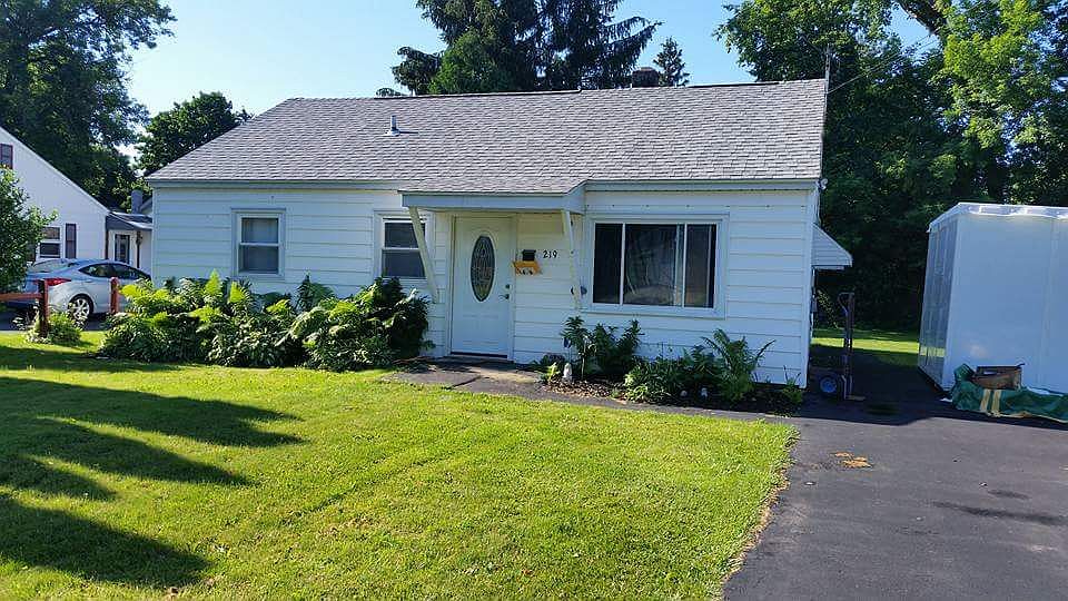 Love the carefree ferns and hostas
