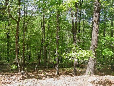 000 Runnymede Lane, Bella Vista, AR, 72715