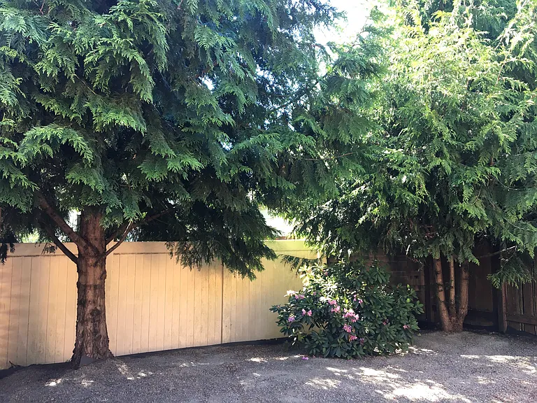 5427 SE Tibbetts St — Photo 36