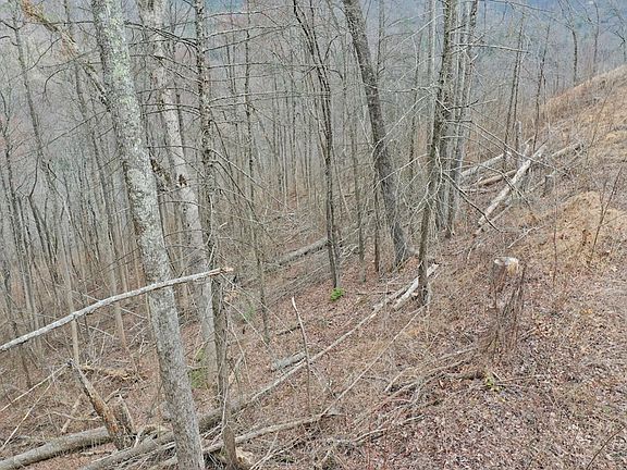 5th image of 16 Laurel Way Lot 16-C