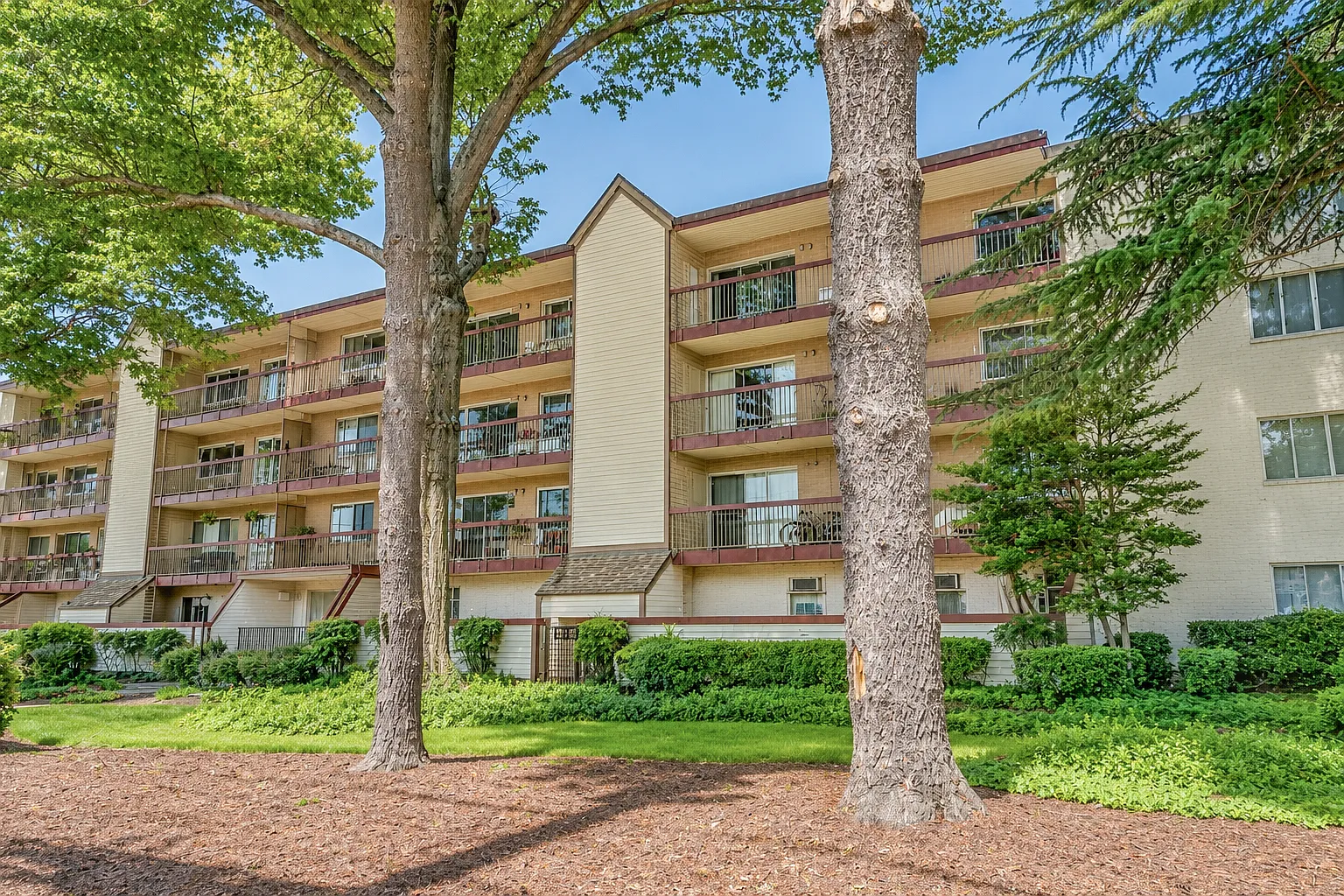 1 bed, 731 sqft, $1,995 — Photo 2