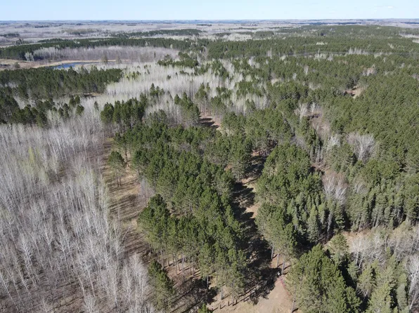 280AC Maple Grove Rd, Cloquet, MN 55720
