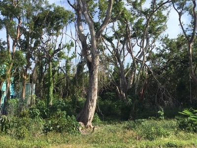 0 Mahogany Dr, Key Largo, FL, 33037