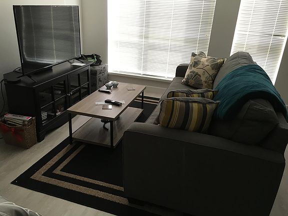 Regular couch and large TV with stand