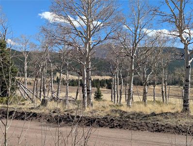 2938 Kemper Loop, Fort Garland, CO, 81133