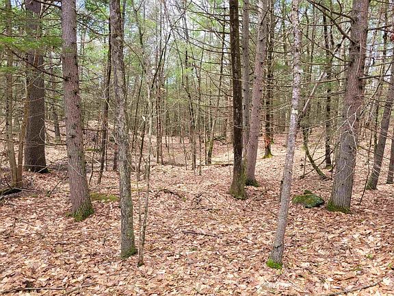4th image of 0 Tipping Rock Road