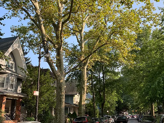 Rented by Corcoran | media 29