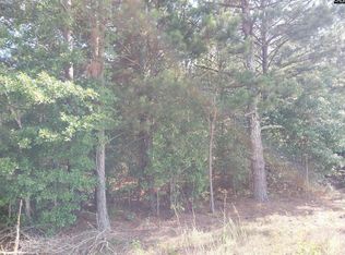 408 Sells Ct, Pelion, SC 29123
