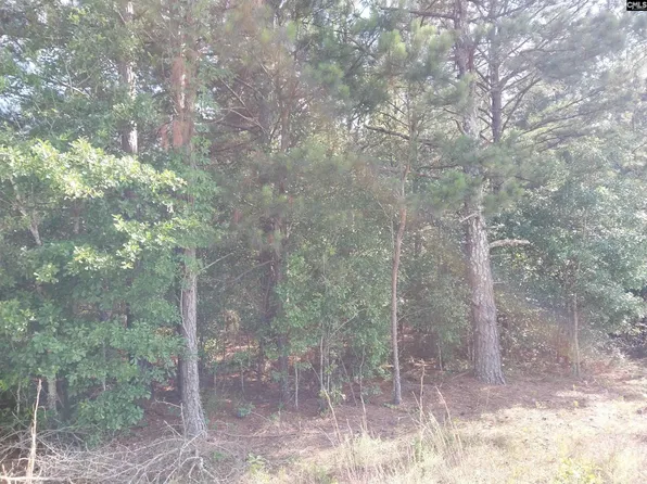 408 Sells Ct, Pelion, SC 29123