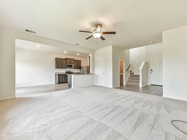 1123 Rare Fancy Dr — Photo 7