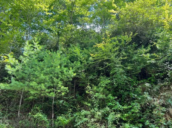 LOT 76 Fires Creek Rd, Hayesville, NC 28904