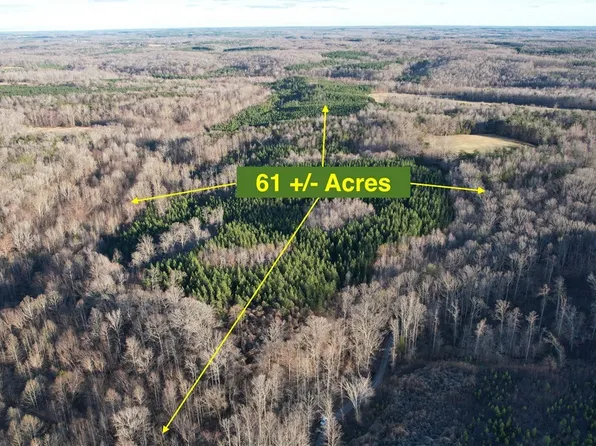 0 Buffalo Church Rd, Pamplin, VA 23958