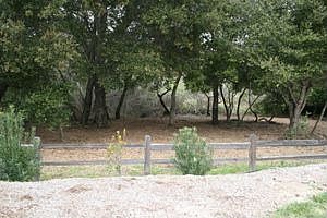 3rd image of 950 Isabella Way