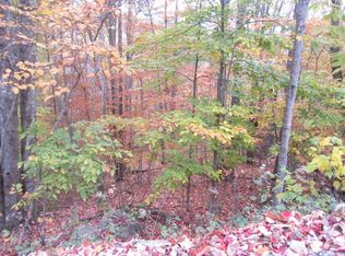 149 Raccoon Rd, Banner Elk, NC 28604