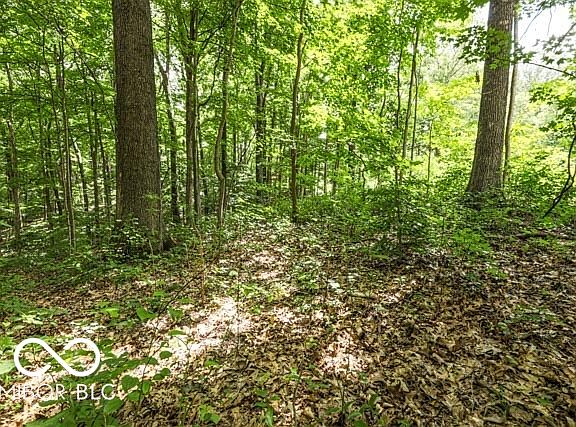 4th image of 8356 Sweetwater Dr