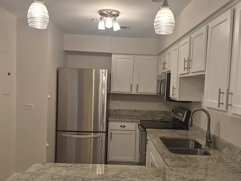 1635 N Milwaukee Ave #303 — Photo 4
