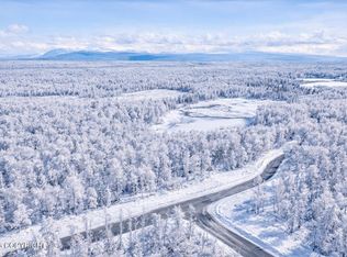 45269 S Upwind Cir, Willow, AK 99688