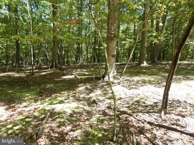 Sideling Mountain Trl, Great Cacapon, WV, 25422