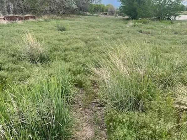 3233 County Road 19, Brighton, CO 80603