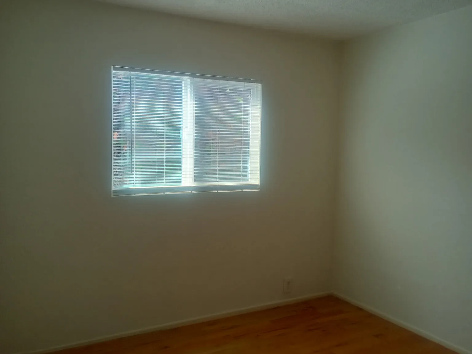 1 bed, 800 sqft, $1,595 — Photo 2
