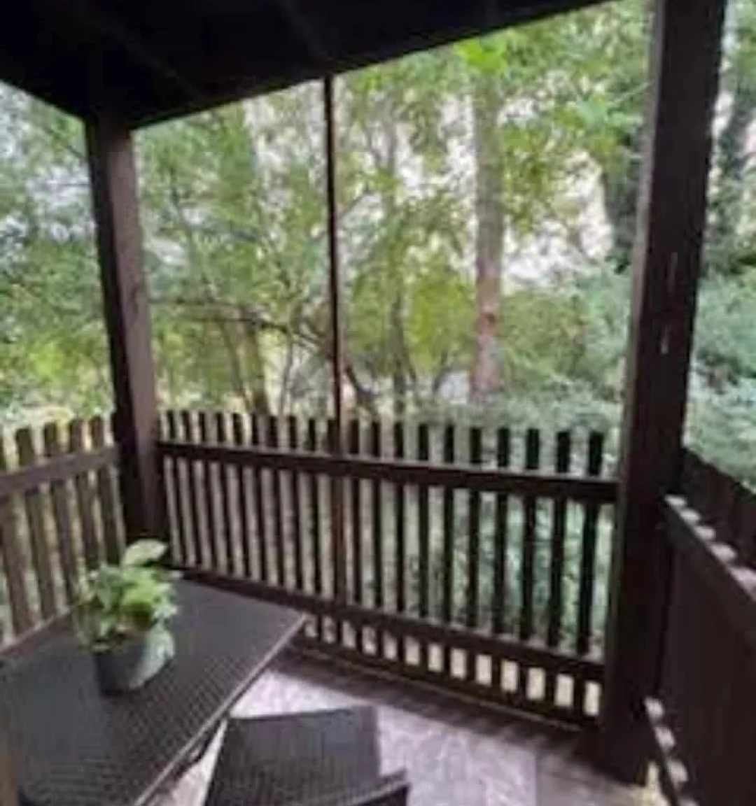 2 bed, 1000 sqft, $830 — Photo 3