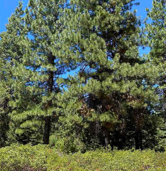 2nd image of 192 Fox Peak Dr