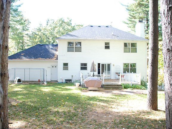 Wooded Backyard