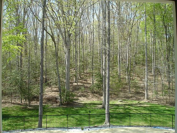 View backwoods through dining room window