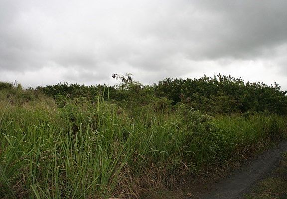 4th image of LOT 11 Lot 11