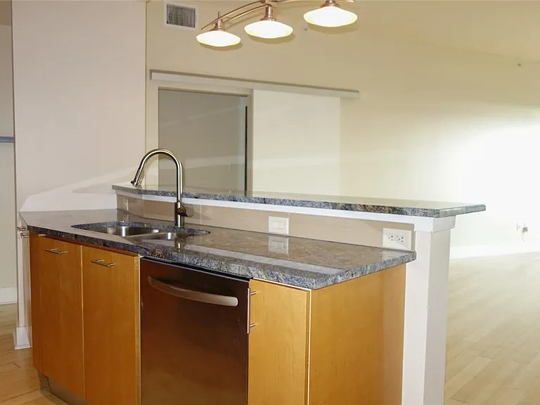 603 Davis St #1409 — Photo 6