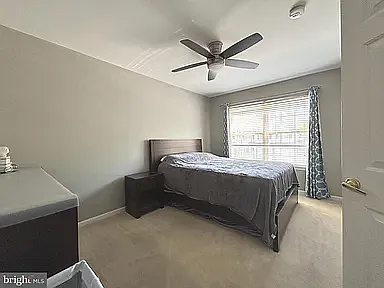 233 Tall Pines Dr — Photo 11