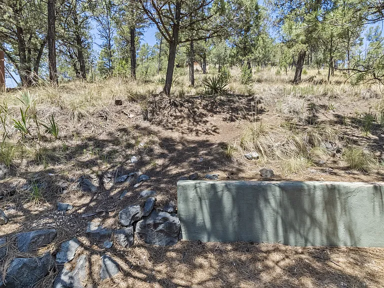 307 Heath Dr — Photo 39