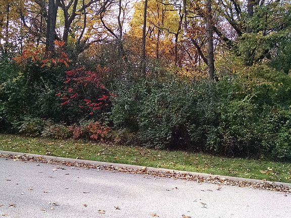 3rd image of 11202 Hill Crest Ln