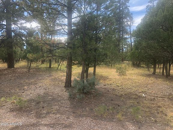 3rd image of 4382 JACK PINE Place #144