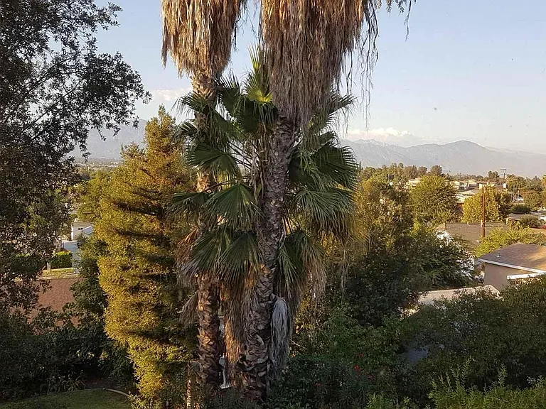 view from balcony