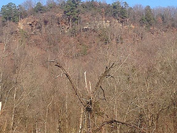 5th image of 2071 County Road 2641