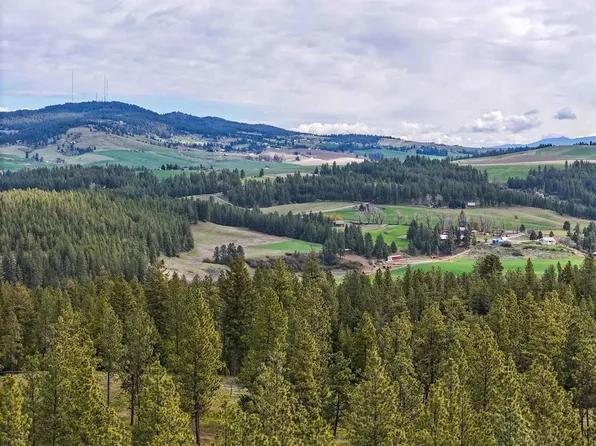 22XX E Miller Rd, Spangle, WA 99031