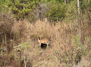 0 Stanford Lake Rd, Poplarville, MS 39470
