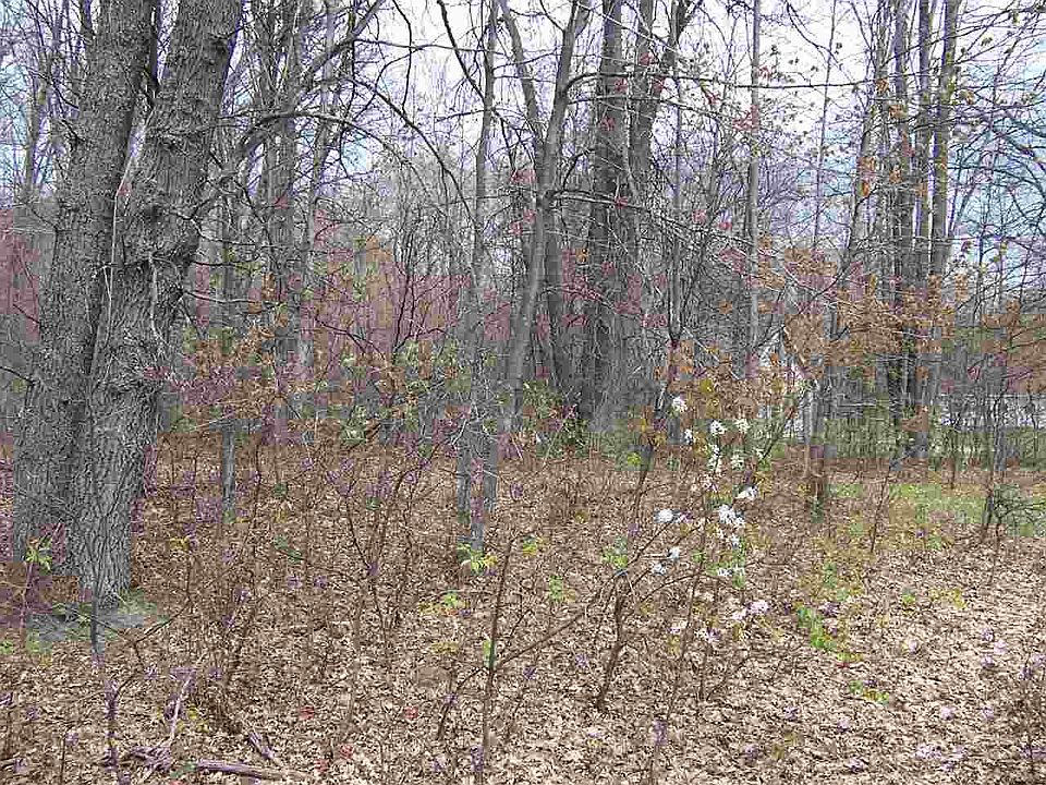2nd image of 222 Agate Dr #224