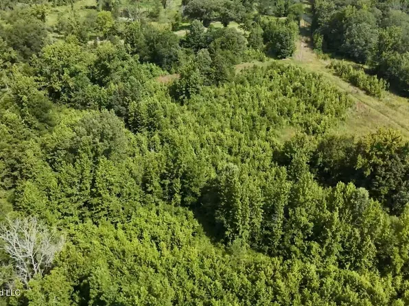 0 Chapel Hill Rd, Utica, MS 39175