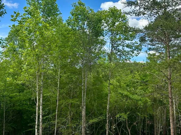 113 Laurel Way, La Follette, TN 37766