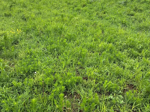 N Madison St, Tilden, NE 68781