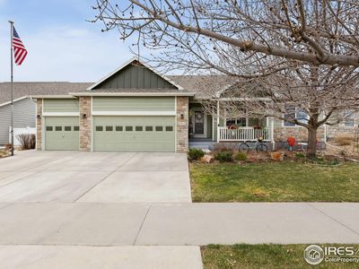 2518 Palmer Ave, Mead, CO, 80542