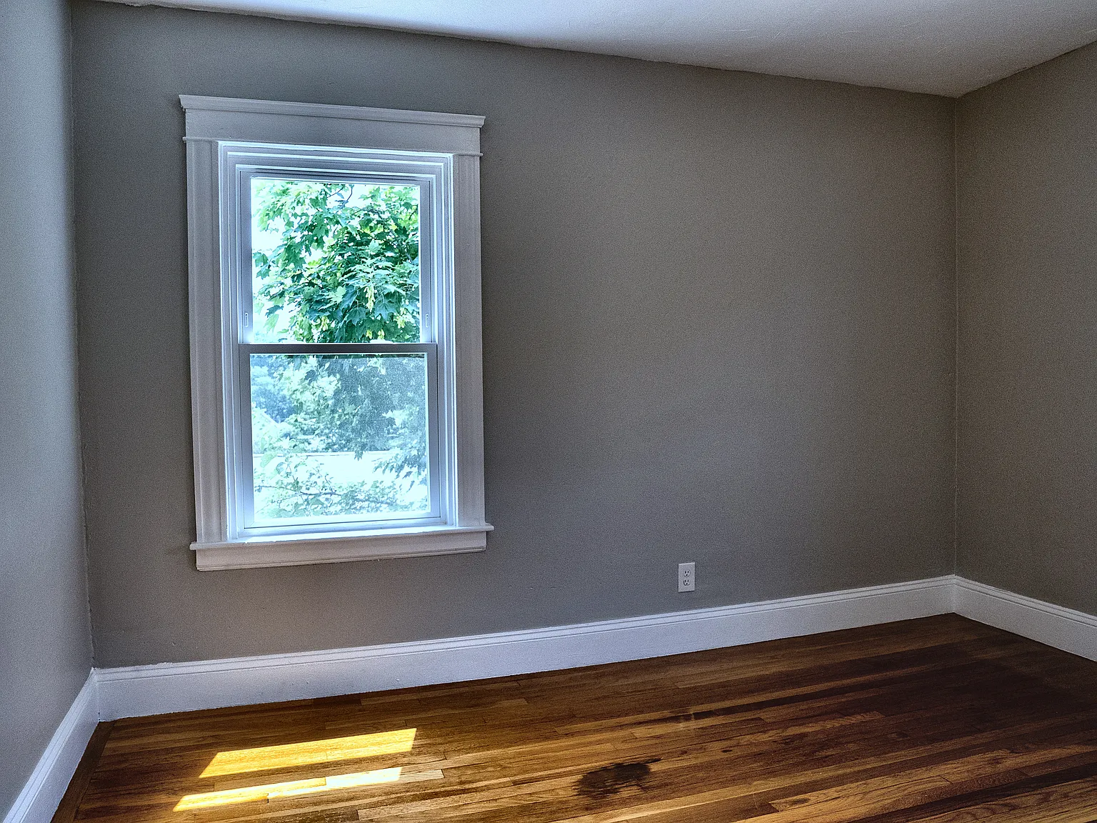 3 bed, 1000 sqft, $3,000 — Photo 4