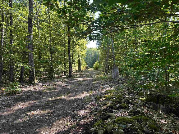 5th image of 26 Circuit Road